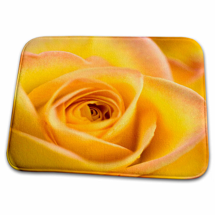 Dish Drying Mat - USA, Oregon, Bend. A close-up of a yellow rose - US38 RER0361 - Ric Ergenbright Flowers