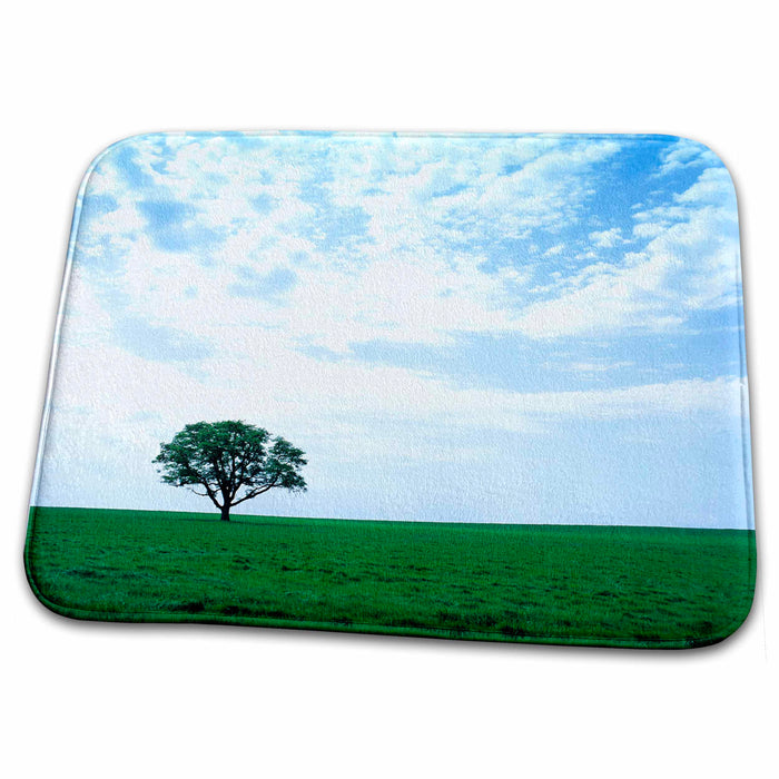 Dish Drying Mat - USA, Oregon, Willamette Valley. Lone tree - US38 RER0368 - Ric Ergenbright Oregon