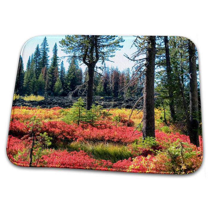 Dish Drying Mat - USA, Oregon, McKenzie Pass. Huckleberry leaves - US38 RER0383 - Ric Ergenbright Oregon