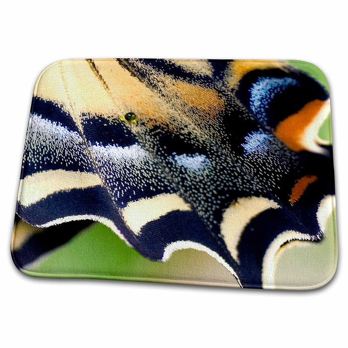 Dish Drying Mat - Oregon, Bend Western tiger swallowtail butterfly - US38 RER0395 - Ric Ergenbright Butterflies