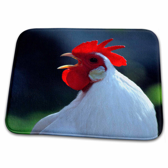 Dish Drying Mat - USA, Oregon, Eugene. A white rooster - US38 RER0396 - Ric Ergenbright Oregon