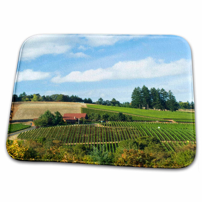 Dish Drying Mat - Oregon, Willamette Valley, Domaine Drouhin Vineyard - US38 RTI0018 - Rob Tilley Vineyards