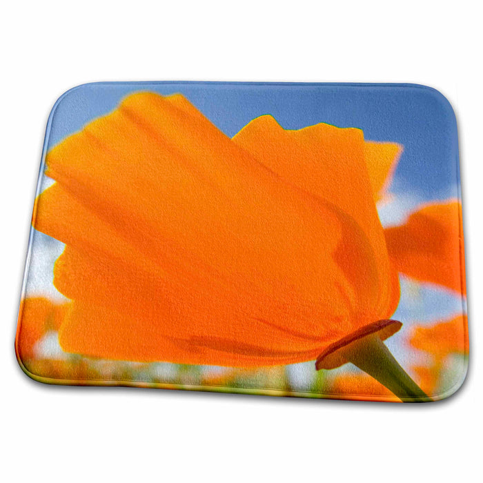 Dish Drying Mat - Oregon, Willamette Valley, California Poppy flower - US38 TEG0039 - Terry Eggers Flowers