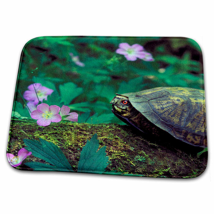 Dish Drying Mat - USA, Pennsylvania. Turtle on fallen log. - US39 BJA0075 - Jaynes Gallery Turtles