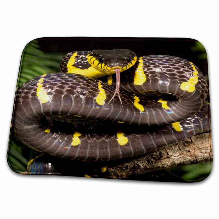 Dish Drying Mat - Mangrove Snake, Southern Asia - US39 JMC0039 - Joe and Mary Ann McDonald Snakes