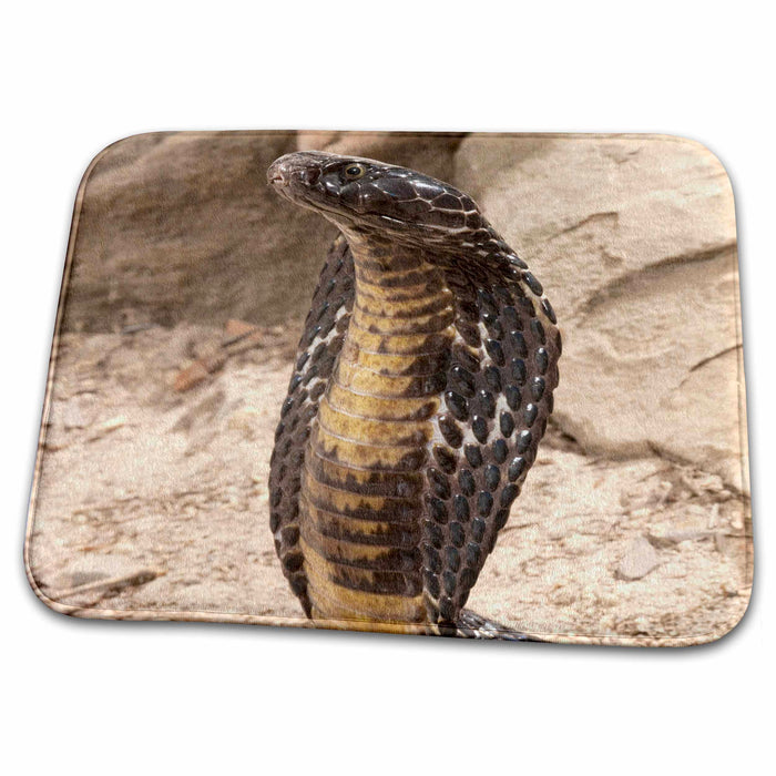 Dish Drying Mat - Pakistani Black Cobra snake - US39 JMC0067 - Joe and Mary Ann McDonald Snakes