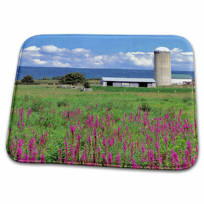 Dish Drying Mat - Pennsylvania, Purple fireweed, farm - US39 RER0004 - Ric Ergenbright Farms