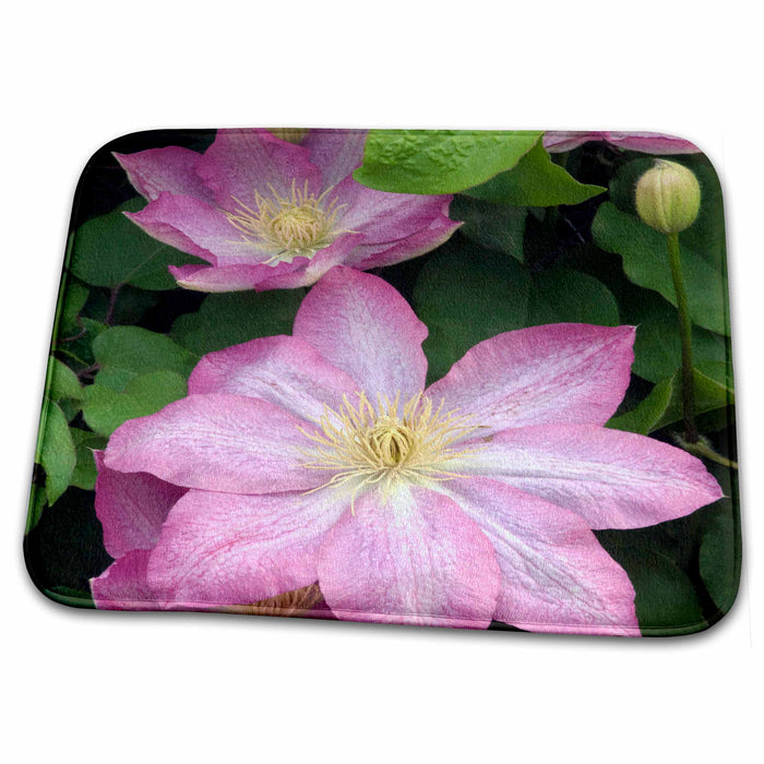 Dish Drying Mat - Clematis Buttercup flowers, Pennsylvania, USA - US39 RKL0015 - Raymond Klass Flowers