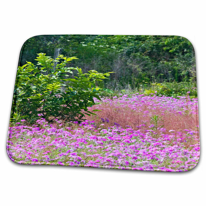 Dish Drying Mat - Drummond Phlox flower, Hilton Head, South Carolina - US41 AJE0018 - Adam Jones Flowers