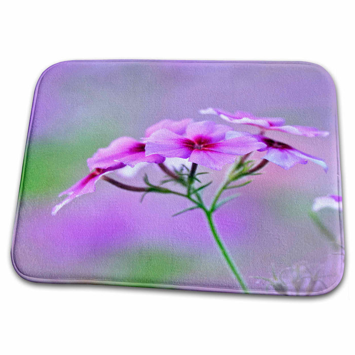 Dish Drying Mat - Drummond Phlox flower, Hilton Head, South Carolina - US41 AJE0019 - Adam Jones Flowers