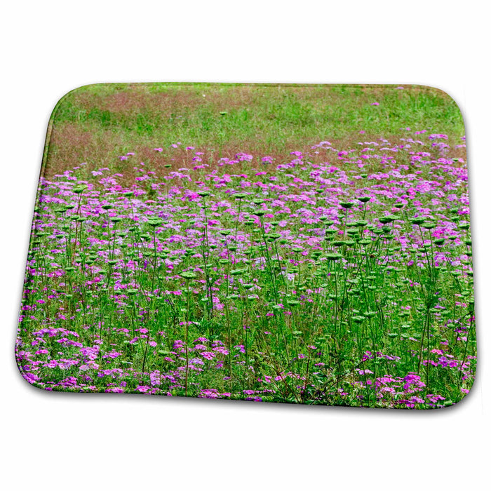 Dish Drying Mat - Queen Annes Lace, Drummond Phlox flower South Carolina - US41 AJE0021 - Adam Jones Flowers