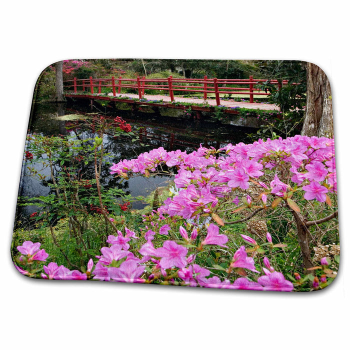 Dish Drying Mat - Magnolia Plantation garden, South Carolina - US41 AJE0038 - Adam Jones Gardens