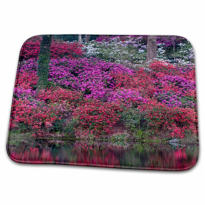 Dish Drying Mat - South Carolina, Middleton Plantation Azalea garden - US41 BJA0022 - Jaynes Gallery Gardens