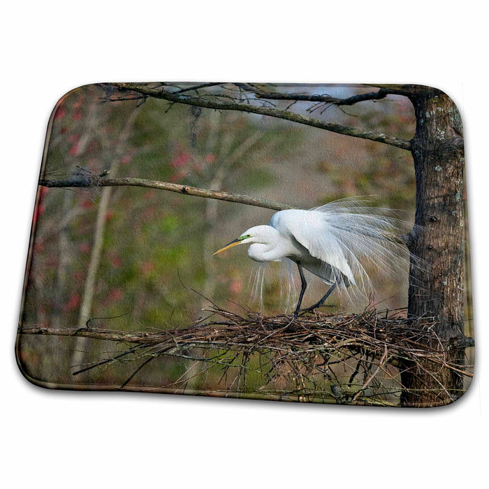 Dish Drying Mat - South Carolina, Audubon Swamp. Great egret bird - US41 BJA0025 - Jaynes Gallery Birds