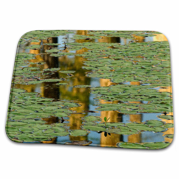 Dish Drying Mat - South Carolina, Cypress Gardens, Lily pads - US41 CHI0056 - Corey Hilz Gardens