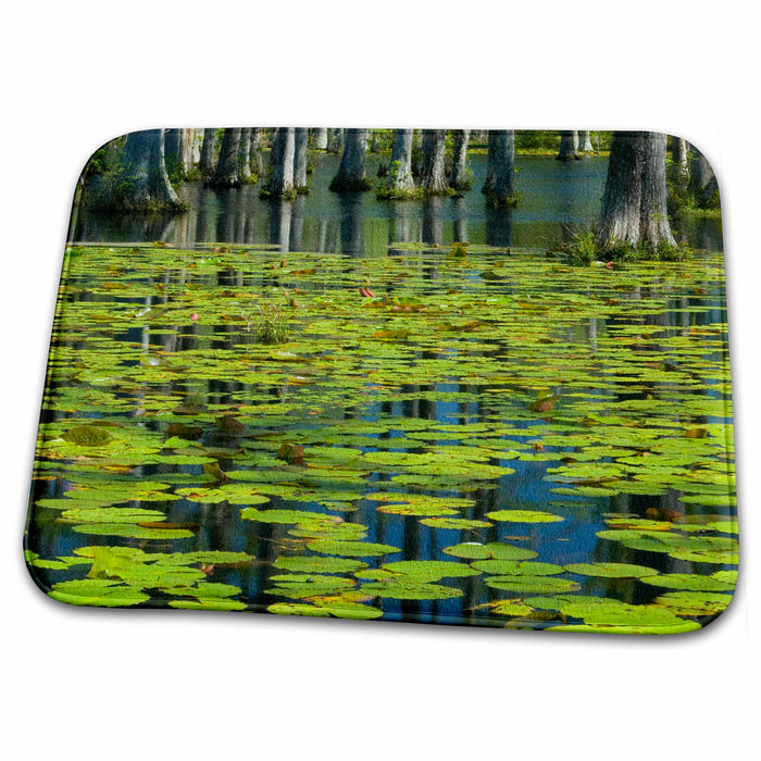 Dish Drying Mat - South Carolina, Cypress Gardens, Lily pads - US41 CHI0060 - Corey Hilz Gardens