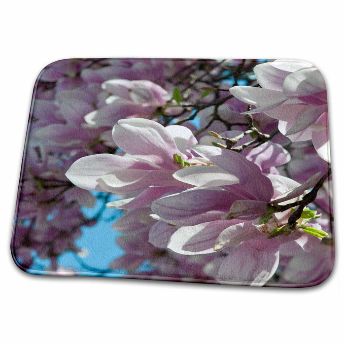 Dish Drying Mat - Magnolia flower blossoms in Springtime - US41 RKL0000 - Raymond Klass Flowers