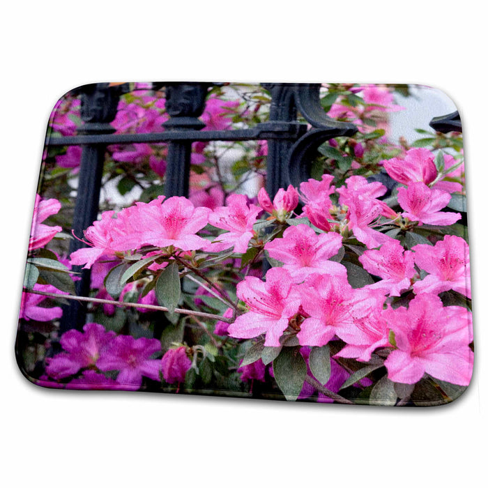 Dish Drying Mat - Azalea flowers bloom, Charleston, South Carolina - US41 RKL0056 - Raymond Klass Flowers