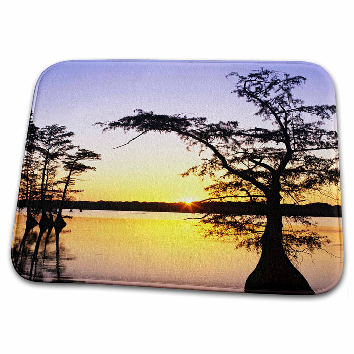 Dish Drying Mat - TN, Reelfoot Lake. Cypress trees on lake - US43 BJA0020 - Jaynes Gallery Lakes