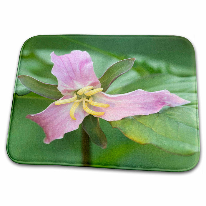 Dish Drying Mat - Catesby Trillium Flower, Great Smoky Mountains, TN - US43 RKL0014 - Raymond Klass Flowers