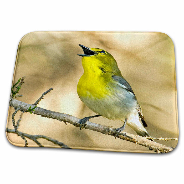 Dish Drying Mat - Texas, Balcones Canyon. Yellow-throated vireo bird - US44 BJA0022 - Jaynes Gallery Birds