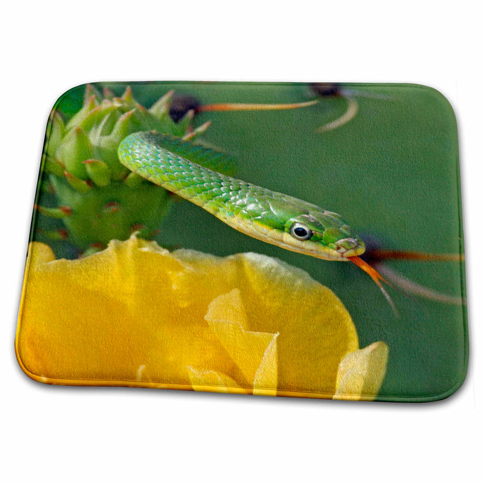 Dish Drying Mat - Texas, Green snake, prickly pear blossom - US44 BJA0080 - Jaynes Gallery Snakes