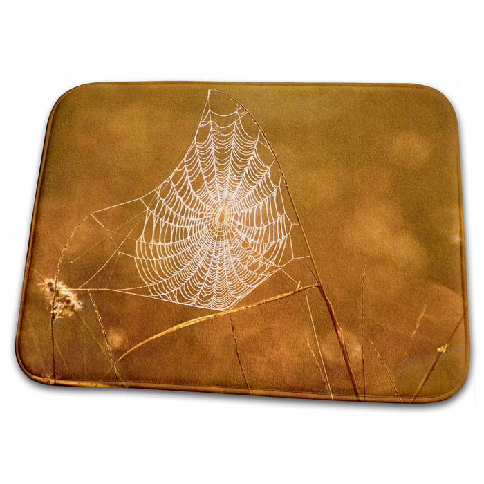 Dish Drying Mat - Texas, Rio Grande Valley, Spider web - US44 BJA0106 - Jaynes Gallery Spiders