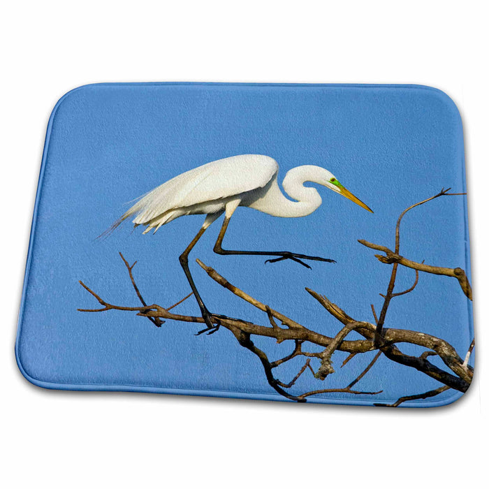 Dish Drying Mat - Texas, High Island Rookery. Cattle egret bird - US44 BJA0121 - Jaynes Gallery Birds