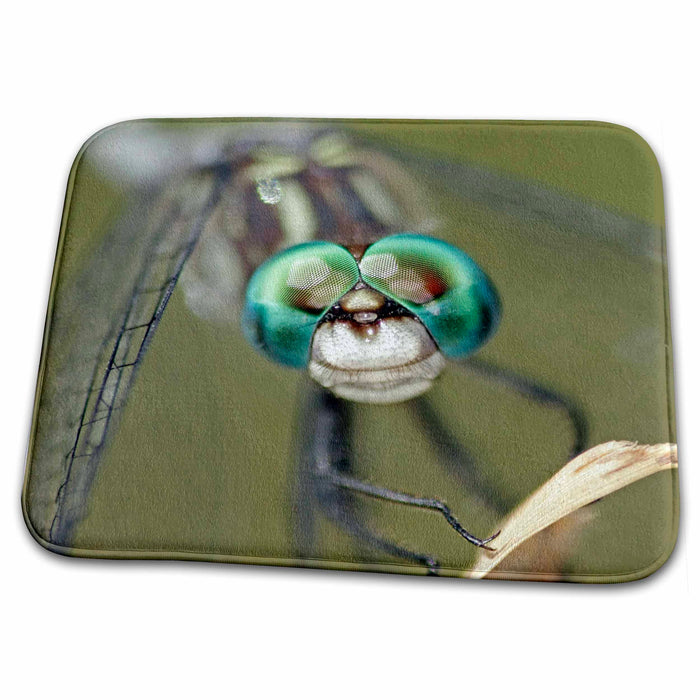 Dish Drying Mat - Texas, Dragonfly insect head - US44 BJA0142 - Jaynes Gallery Insects