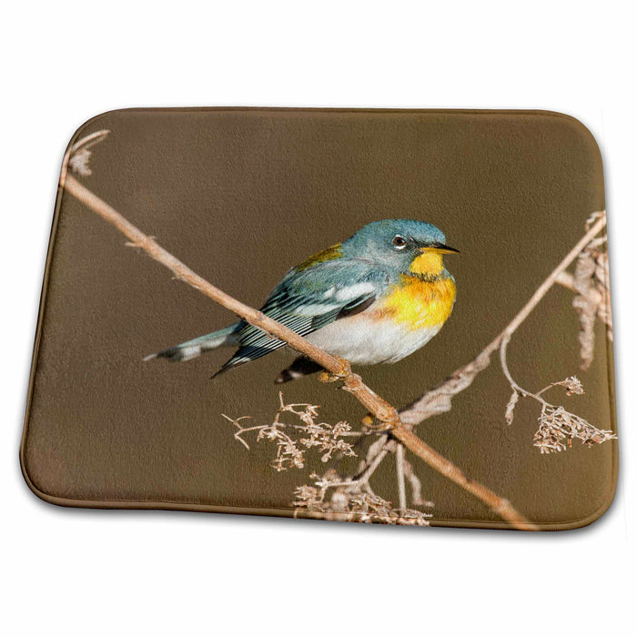 Dish Drying Mat - Texas, Caddo Lake. Male northern parula bird - US44 BJA0171 - Jaynes Gallery Birds