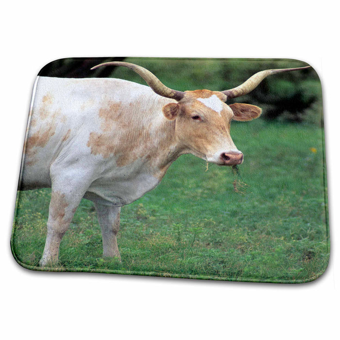 Dish Drying Mat - Texas longhorn cow - US44 DFR0084 - David R. Frazier Cows