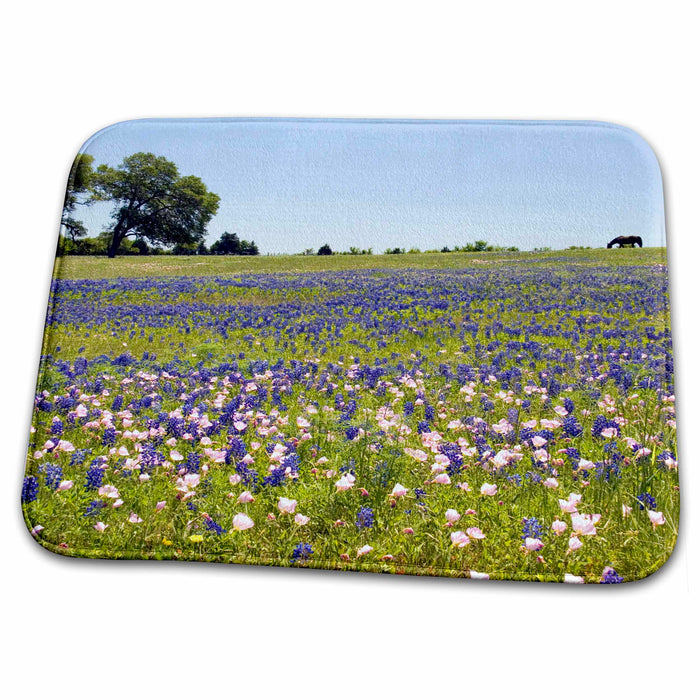 Dish Drying Mat - Horse in Bluebonnet, Evening Primrose, Texas - US44 DFR0237 - David R. Frazier Horses