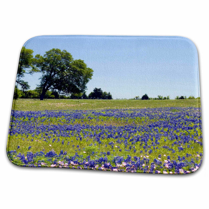 Dish Drying Mat - Bluebonnet and Evening Primrose wildflowers, TX - US44 DFR0238 - David R. Frazier Texas