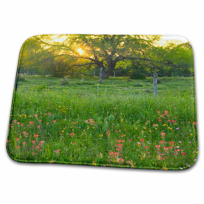 Dish Drying Mat - Oak trees, wildflowers, Cuero Texas - US44 DGU0077 - Darrell Gulin Texas