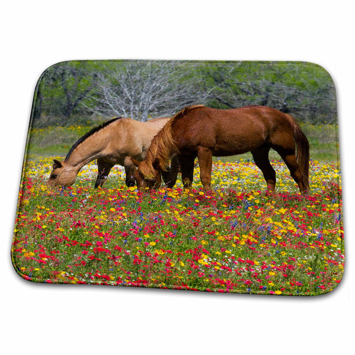 Dish Drying Mat - Quarter Horse, near Cuero Texas - US44 DGU0080 - Darrell Gulin Horses