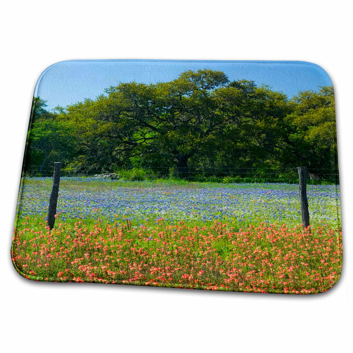 Dish Drying Mat - Paintbrush, Bluebonnets, Brenham Texas - US44 DGU0094 - Darrell Gulin Texas