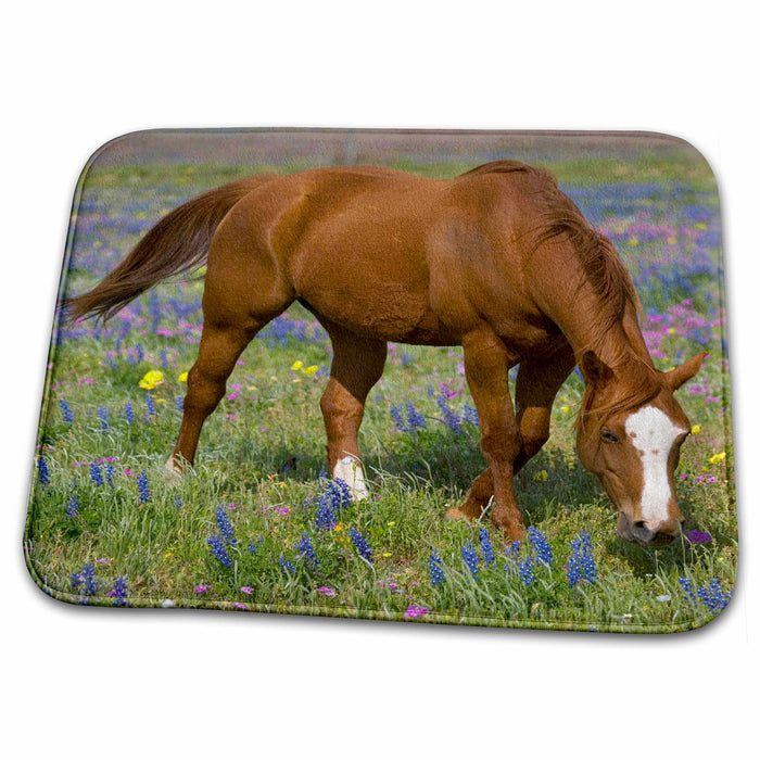 Dish Drying Mat - Quarter Horse in field of wildflowers Devine Texas - US44 DGU0114 - Darrell Gulin Horses