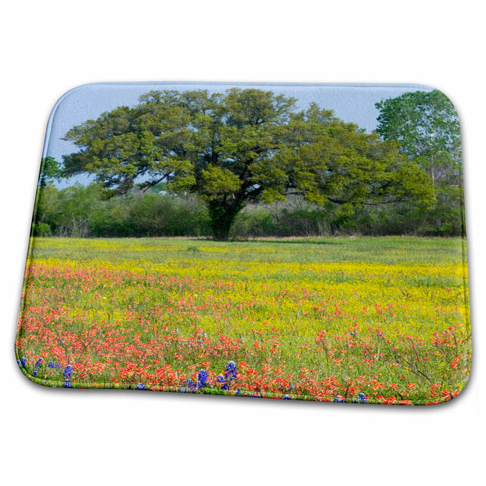 Dish Drying Mat - Oak Tree, Bluebonnets, Indian Paintbrush, Texas - US44 DGU0143 - Darrell Gulin Texas