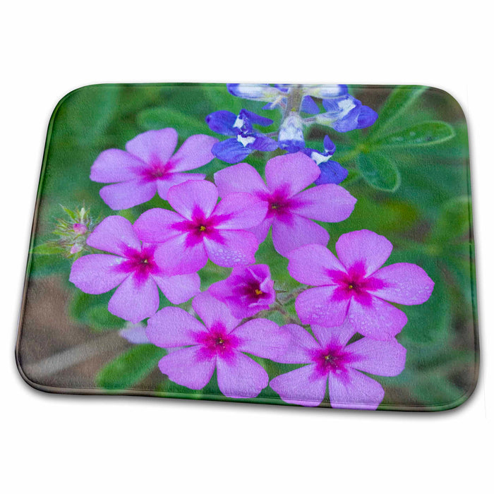 Dish Drying Mat - Phlox and Blue Bonnets, Texas Hill Country - US44 DGU0160 - Darrell Gulin Texas