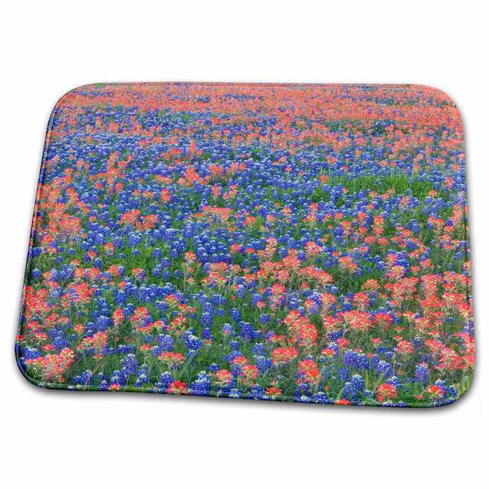 Dish Drying Mat - Blue Bonnets, Indian Paintbrush, Texas Hill Country - US44 DGU0178 - Darrell Gulin Texas