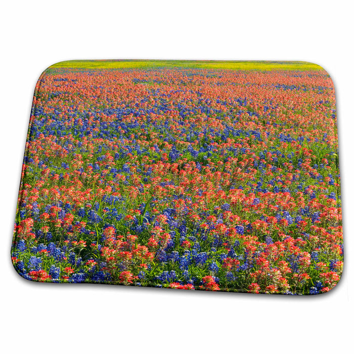 Dish Drying Mat - Blue Bonnets, Indian Paintbrush, Texas Hill Country - US44 DGU0187 - Darrell Gulin Texas