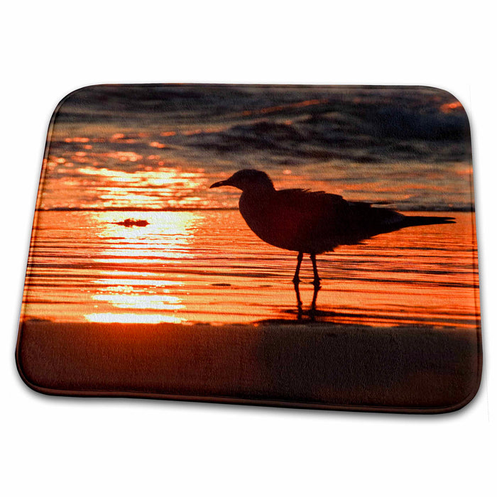 Dish Drying Mat - Laughing Gull bird, South Padre Island, Texas - US44 LDI0257 - Larry Ditto Birds