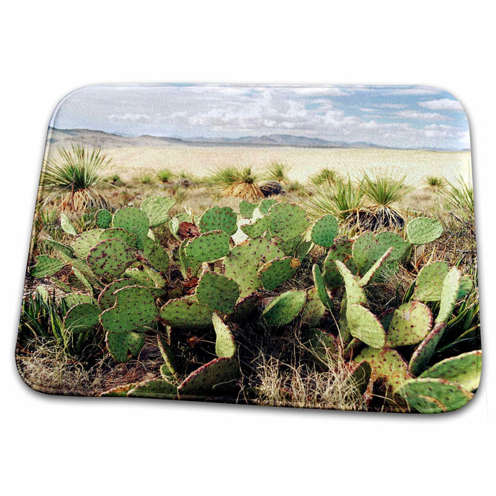 Dish Drying Mat - Texas, Big Bend NP, Prickly pear cactus succulent - US44 LNO0054 - Luc Novovitch Succulents