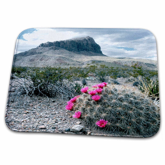 Dish Drying Mat - Texas, Big Bend NP, Pitaya cactus, Nugent Mountain - US44 LNO0073 - Luc Novovitch Texas