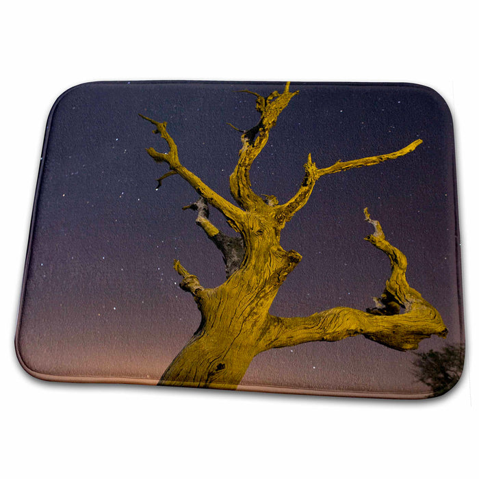 Dish Drying Mat - Tree, stars, and nightfall, Coastal Bend, Texas - US44 MPR0034 - Maresa Pryor Texas