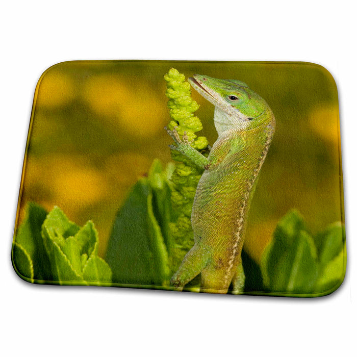 Dish Drying Mat - Green Anole Lizard, Texas coastlands - US44 MPR0054 - Maresa Pryor Lizards