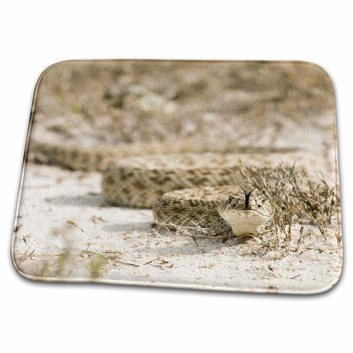 Dish Drying Mat - Western Diamondback Rattlesnake, Welder Flats, TX - US44 MPR0057 - Maresa Pryor Snakes