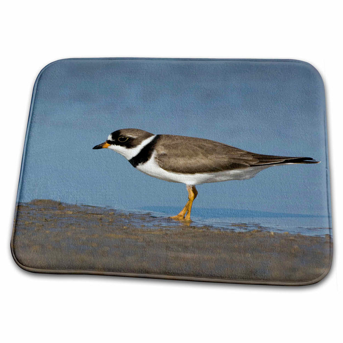 Dish Drying Mat - Semipalmated plover bird, Welder flats, Texas - US44 MPR0089 - Maresa Pryor Birds