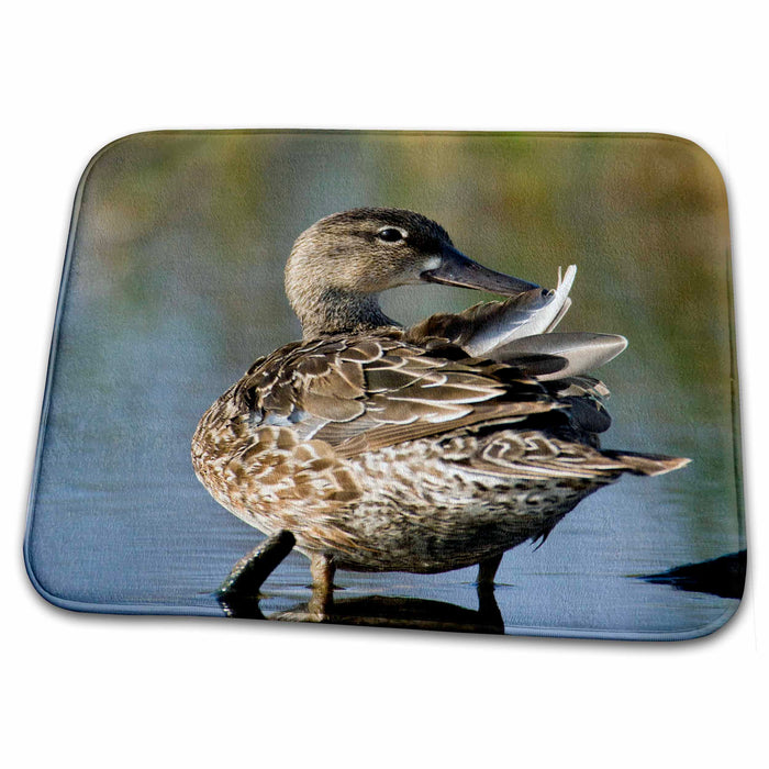 Dish Drying Mat - Blue-winged Teal, Welder Flats, Texas - US44 MPR0100 - Maresa Pryor Birds