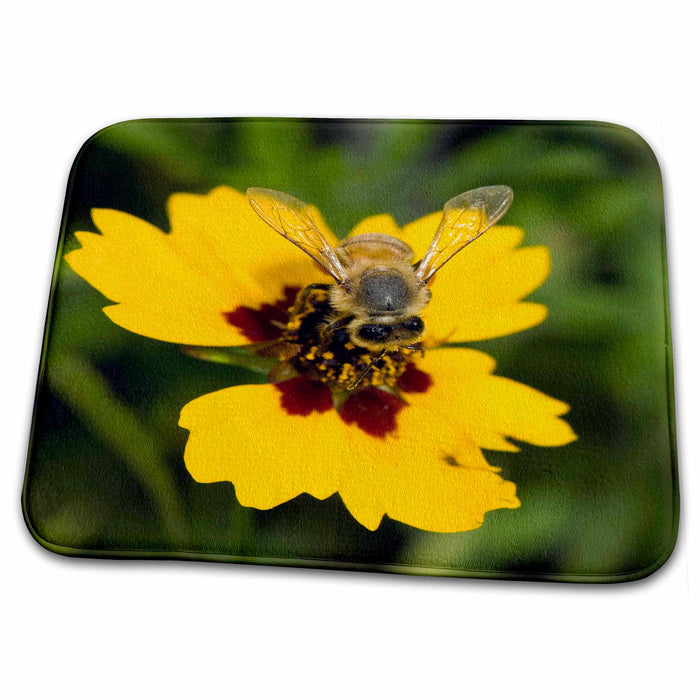 Dish Drying Mat - Honeybee, Coastal Bend, Texas - US44 MPR0113 - Maresa Pryor Bees